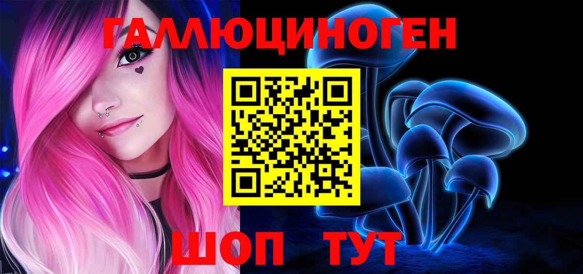 наркотики  Галлюциногенные грибы Magic Shrooms  Вход с VPN  Выборг 